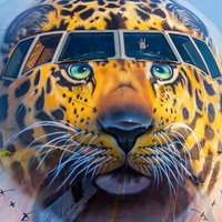 Rossiya Airlines Boeing b777